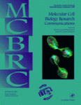 Go to journal home page - Molecular Cell Biology Research Communications